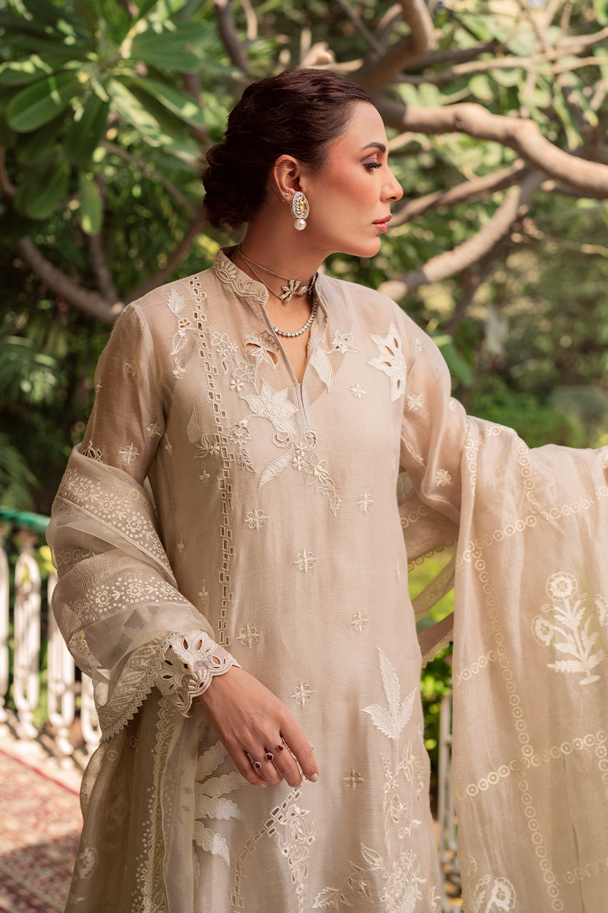 Amika RTD